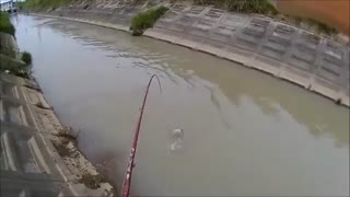 فیلم ماهیگیری با قلاب