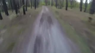 تعقیب دوچرخه سوار توسط خرس