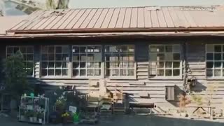 Assasination classroom graduation live action sub indo