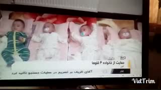 چهارقلو ها (1)