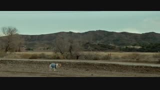 فیلم عاشقانه کمدی « 2018 » Please Stand By « لطفا بمان » با زیرنویس چسبیده فارسی