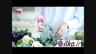 شیر ظرفشویی ریتا kwc