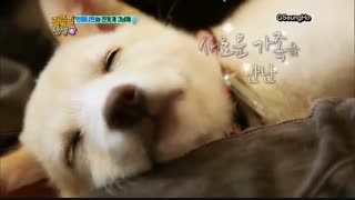 infinite-- birth of a family ep3-p1        با زیرنویس آنلاین