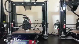 صاحب پرینتر 3 بعدی خود شوید