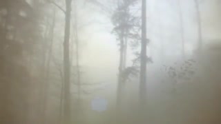 Last Leaf Down - Giant