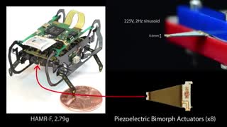 ساخت ربات  توسط دانشگاه هاروارد با الهام از سوسک