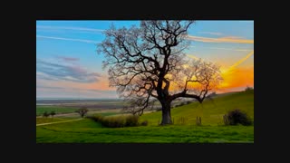 موزیک بسیار زیبای canon