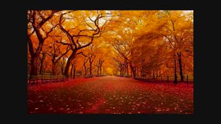 موزیک ویدیو پاییزی بسیار زیبا