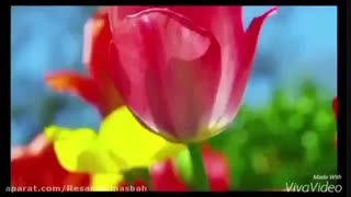 دعای امام زمان ع