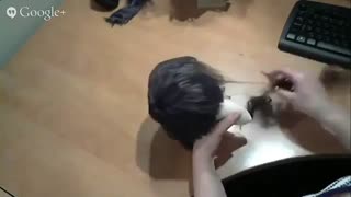 موهای عروسک