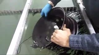 دستگاه مخمل پاش/هیدروگرافیک/آبکاری/فانتاکروم09029236102