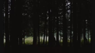 فیلم ترسناک  « 2017 » The Ravenous « نوازنده » با زیرنویس چسبیده فارسی