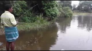 آموزش ماهیگیری برای مبتدی تا حرفه ای