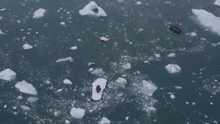موزیک ویدیو Ludovico Einaudi Elegy for the Arctic