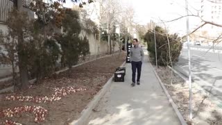 لاله برای مادران