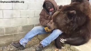 وقتی خرس روز سختی داشته و نیاز به کمی محبت دارد...