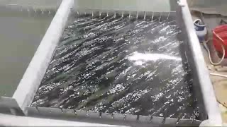 فروش دستگاه مخمل پاش/هیدروگرافیک/آبکاری/فانتاکروم09362022208