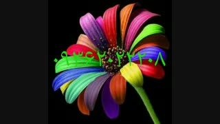 فروش دستگاه مخمل پاش/هیدروگرافیک/آبکاری/فانتاکروم09362022208