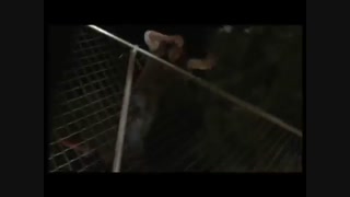 Teen wolf season1 trailer