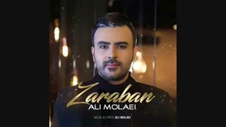 علی مولایی ضربان