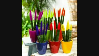 فروش دستگاه مخمل پاش/فانتاکروم09362022208