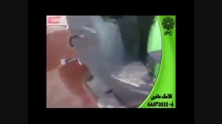 پاکیزگی با دستگاه های نظافت صنعتی-نظافت حرم امام رضا ع