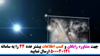 نسخه گیاهی برای تقویت ریشه مو