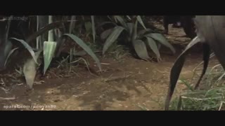 کینگ کنگ علیه گودزیلا  ۱۹۶۳