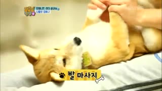 infinite-- birth of a family ep9-p3            با زیرنویس آنلاین