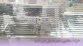 دستگاه بسته بندی سیل وکیوم سبزی جات - استیل غرب آسیا