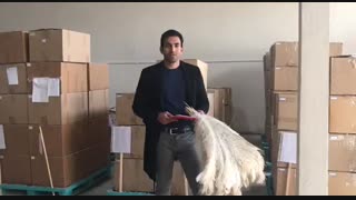 خبر فوری برای عاشقان امام حسین(تحول عظیم)