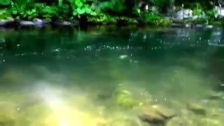 ماهیگیری با قلاب در رودخانه