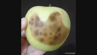 سیب بیمار:|