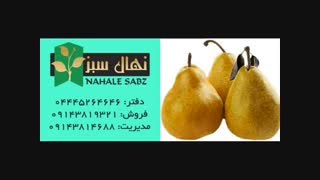 خرید انواع نهال گلابی