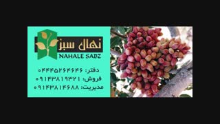 خرید انواع نهال پسته