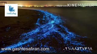 دریایی با ذرات نورانی و عجیب