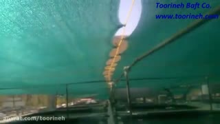 توری سایبان استخر پرورش ماهی - محصولی از "تورینه بافت"