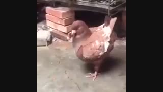 ت مهم یه خبر خوب