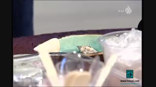 آموزش ماهی سه بعدی رزین عید