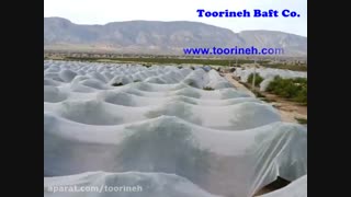 توری ضدسرمازدگی شرکت تورینه بافت