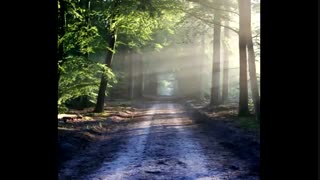 دلم گرفته ای خدا.....