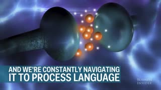 The brain and how we process language
