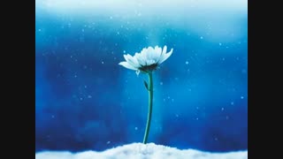 روز بلندترین شعر عاشقانه ام مبارک باد...