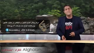 کلیپ طنز درباره سیزده بدر و محیط زیست