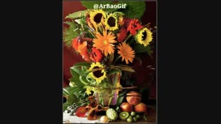 برف پیری _ ای عشق نافرجام من رفتی کجا