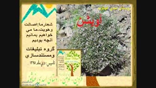 گیا هان دارویی روستای اسدی غیاثوند
