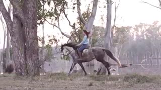 اسب سواری در تعطیلات (شهر اندولوسیا اسپانیا)