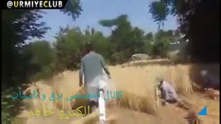 خلاقیت و ابتکار کشاورزان برای فرار از گرما ...برق چیز فوق العاده ای هست اش !گمون کنم .