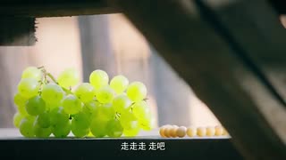 سریال ادیسه چینی کات قسمت های 17 تا 20 + زیرنویس فارسی