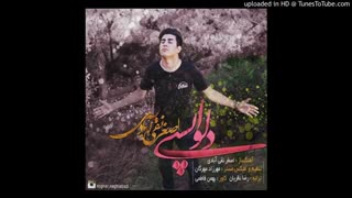 Asghar NaghiAbadi - Delvapasi